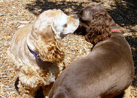 photo by Alicia Good