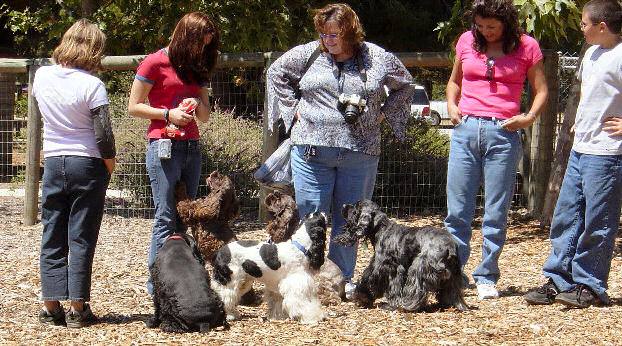 photo by Alicia Good