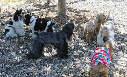 photo by Alicia Good