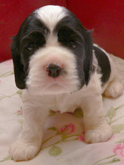 Maddie poses for a cute picture