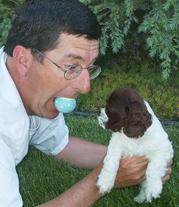 Have fun when training your puppy!