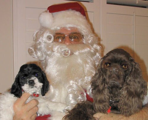 Chloe at her new home