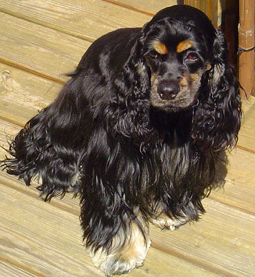 Photo courtesy of Dana Boyd