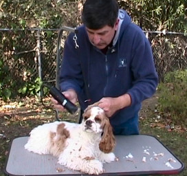 click here to learn about our grooming DVD