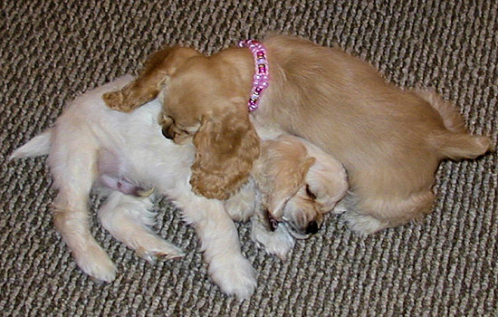 photo courtesy of Erika Kehoe