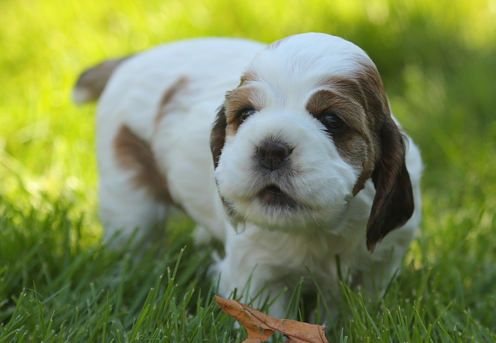 26 days old in this picture