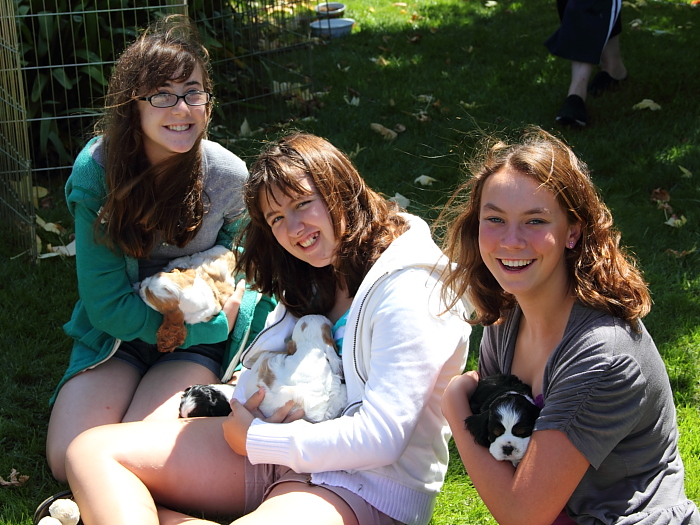 young girls snuggle with Cocker Spaniel puppies