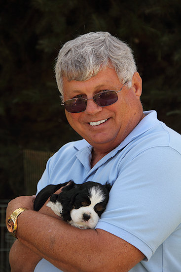 5 week old tri colored Cocker Spaniel puppy