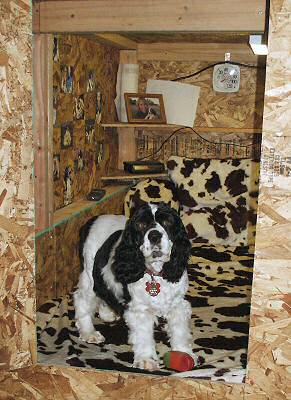 A home-made puppy birthing enclosure