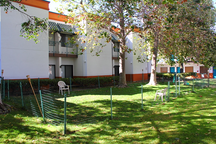 dog play area at the Oxford Suites hotel
