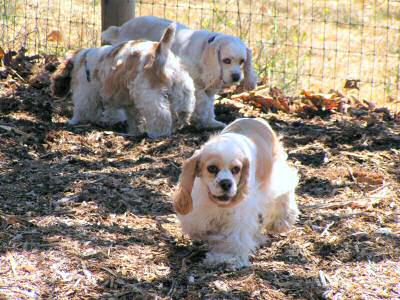 Mike Baird took this photo