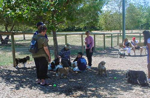 Sylvia Vieira took this photo