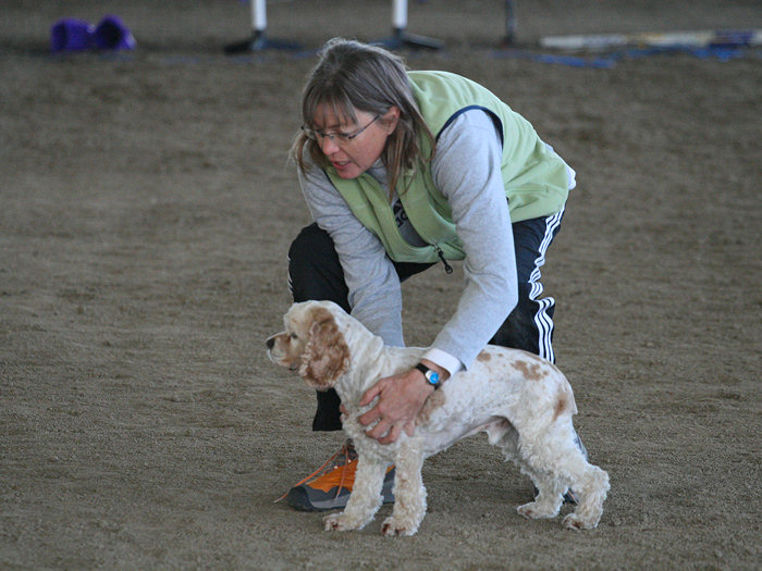 Sharon Stevens with Duke at the starting point